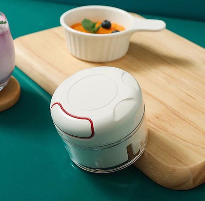 Mini Chopper Vegetable Garlic Onion Housify.pk